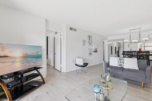 تلفزيون، مشغل دي في دي