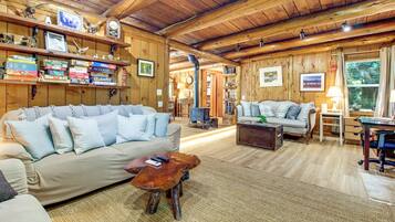 TV, DVD player, books, video library