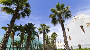 Un camino bordeado por altas palmeras que conduce a un edificio blanco con múltiples ventanas.