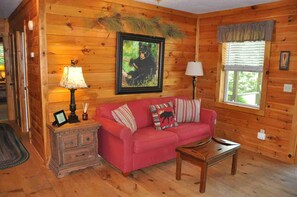 Smart TV, fireplace, DVD player