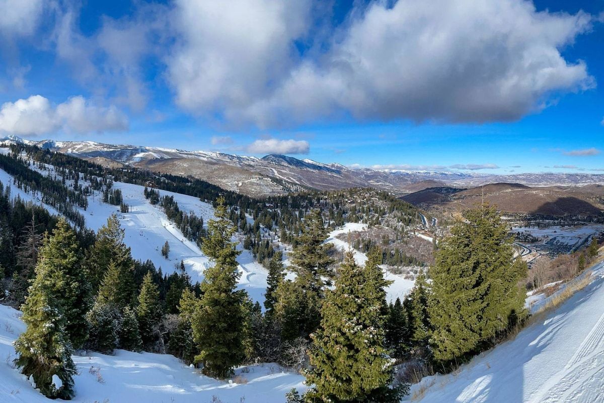 A panoramic view of a mountainous landscape with snow-covered slopes, dense forests, and a clear blue sky.