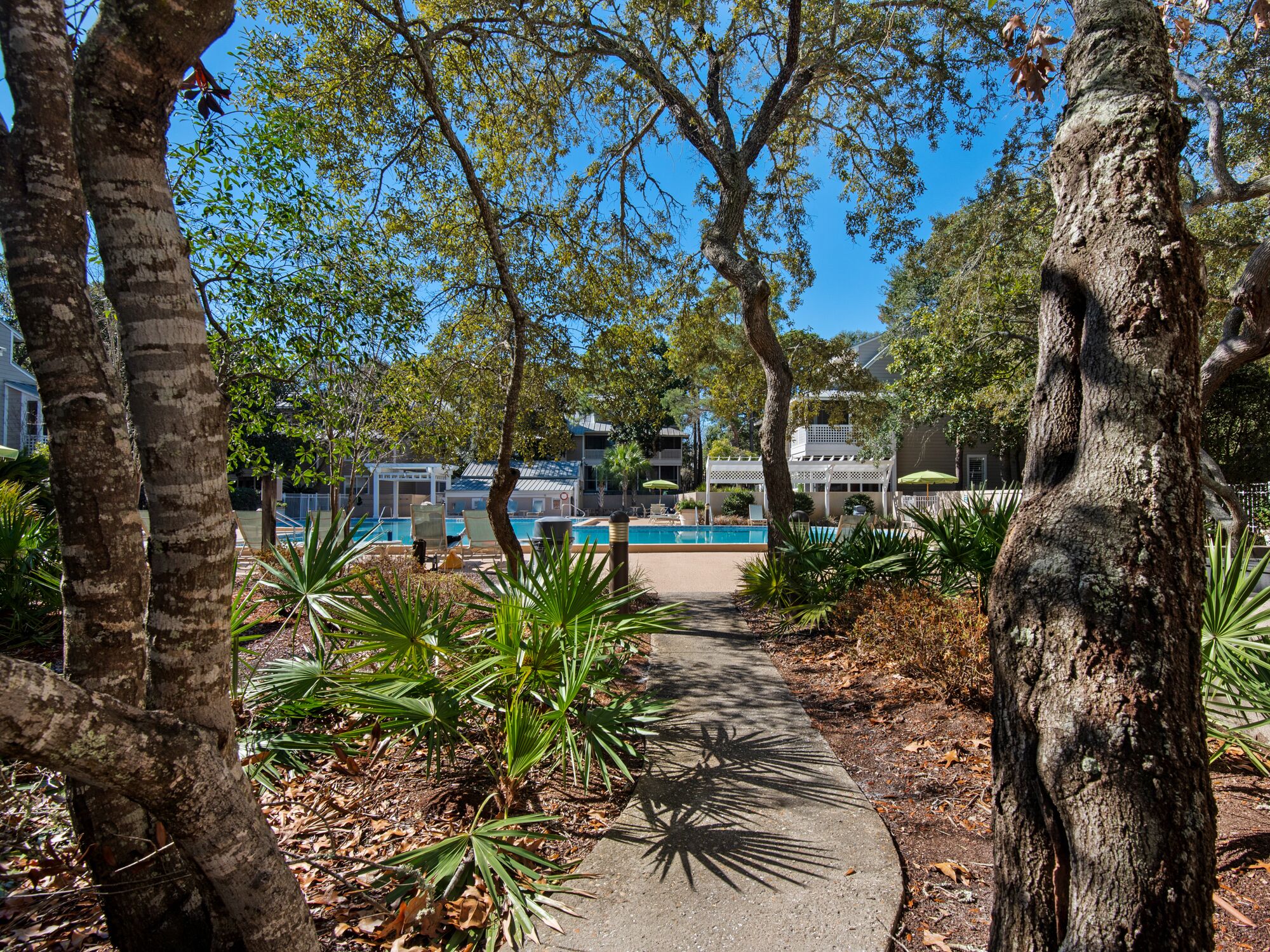 A pathway leading to a pool area surrounded by trees and greenery.