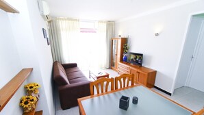 TV - DMS Apartment (La Pineda)