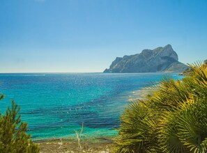 Un paisaje costero con aguas turquesas cristalinas, un afloramiento rocoso destacado y abundante vegetación en primer plano.