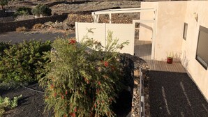 A garden with a wooden deck, a stone wall, and a view of mountains in the background.