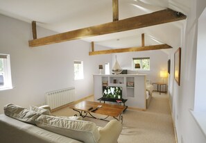 تلفزيون ذكي، مدفأة