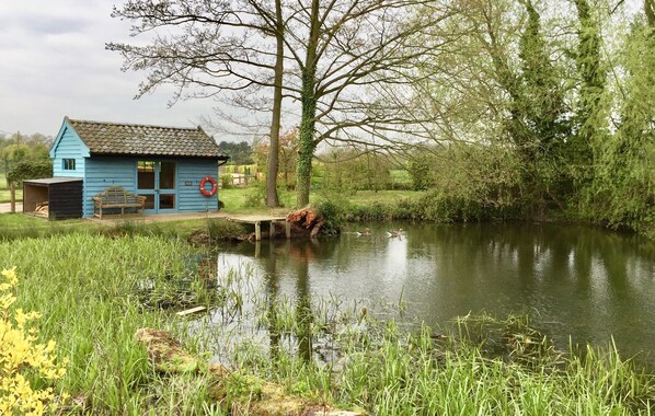 Terrain de l’hébergement 