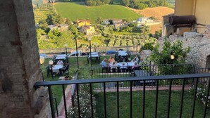 A terrace with outdoor seating overlooking a vineyard and rolling hills.
