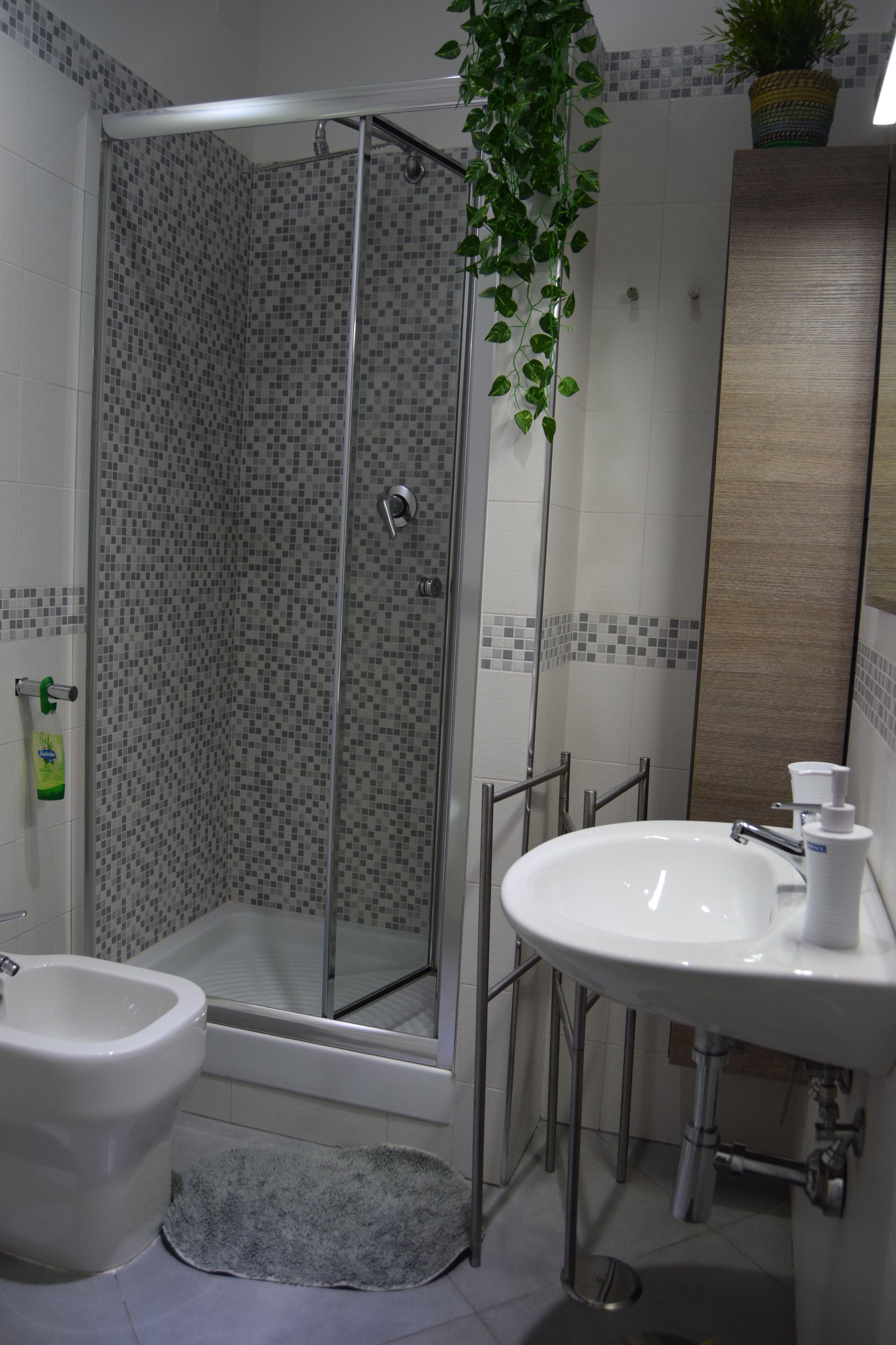 A bathroom with a shower, bidet, sink, and a potted plant.