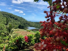 Villa (Kopi) | Vistas desde la habitación