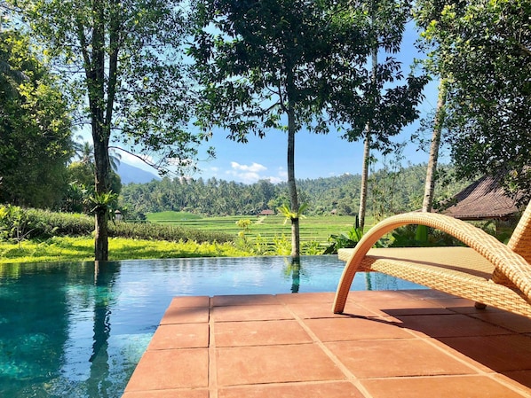 Outdoor pool, sun loungers - Clove Tree Hill (Selemadeg)