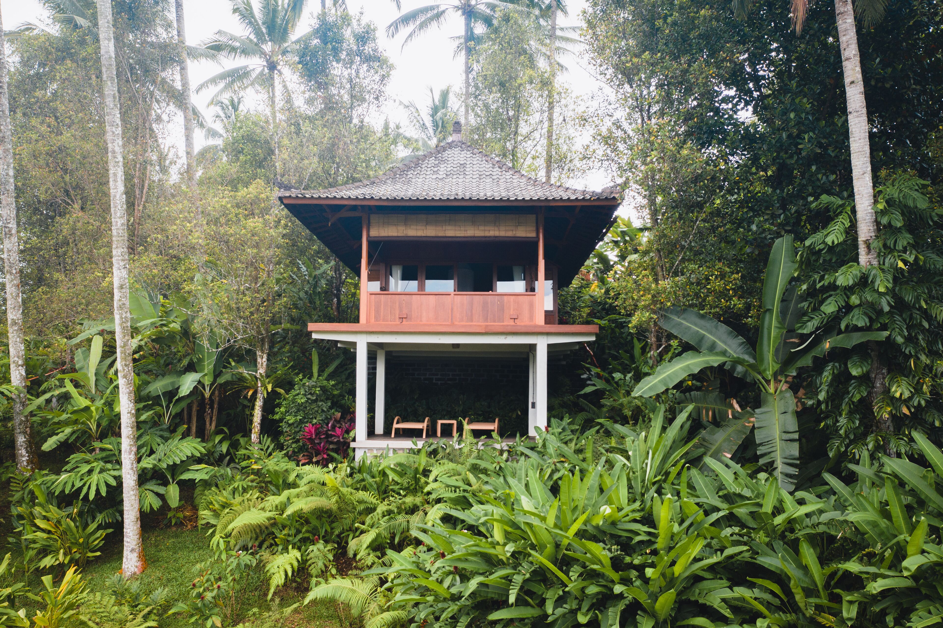 Foto - Clove Tree Hill