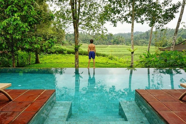 Outdoor pool, pool loungers