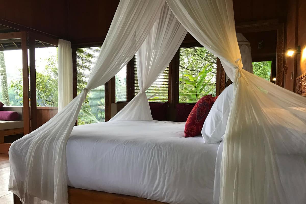 A bed with white bedding and a canopy, a red pillow, and a view of greenery through windows.