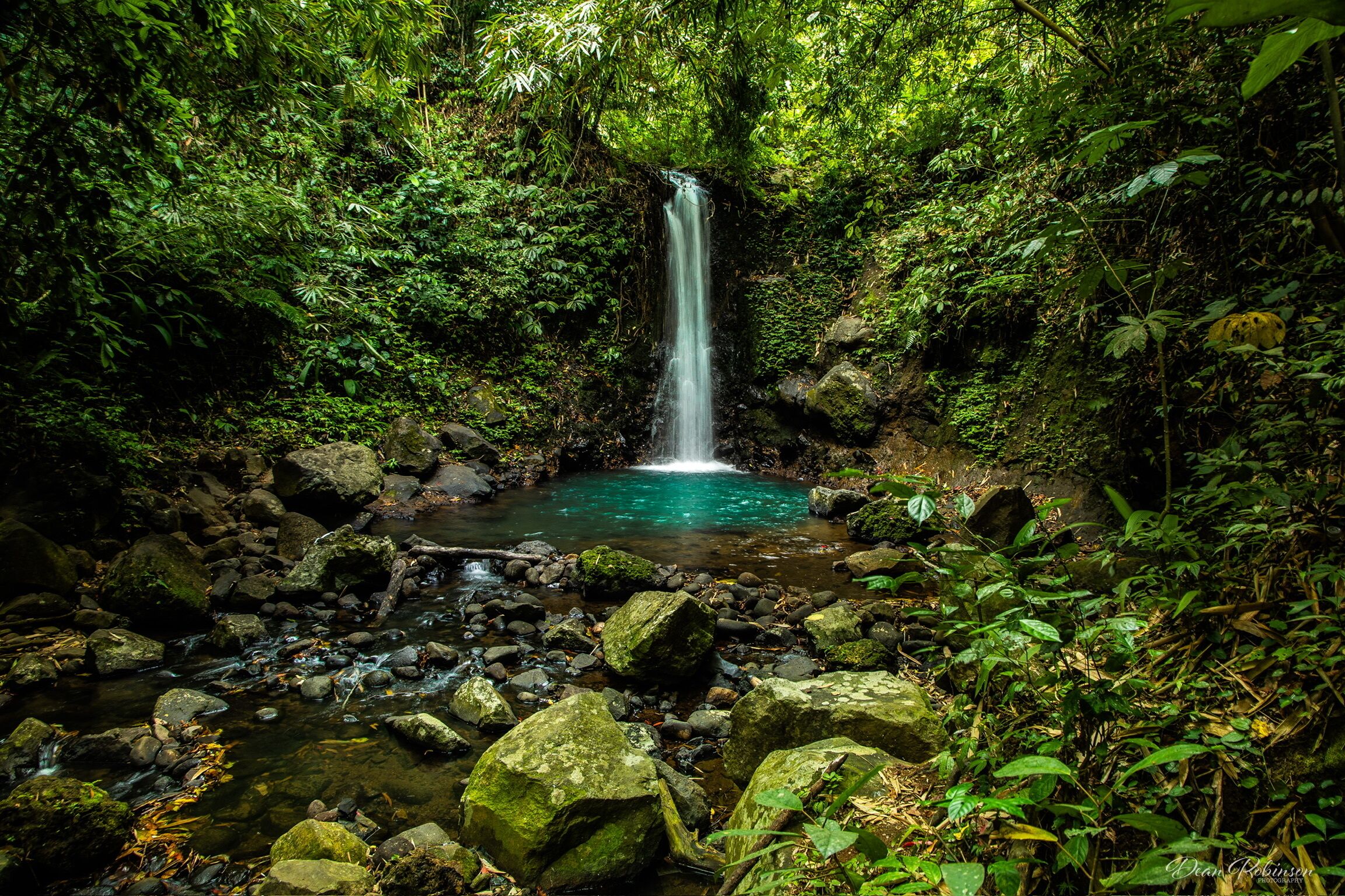 Photo - Clove Tree Hill