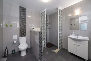 Shower, hair dryer, towels
