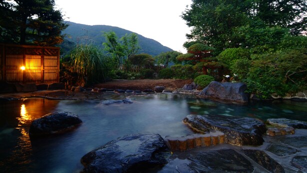 Un jardí serè amb un estany, roques i arbres.