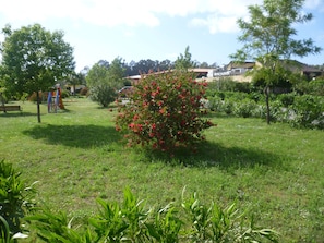 A grassy park area with a playground, a bush with red flowers, and trees.