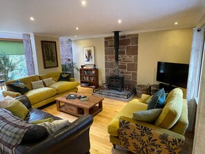 Una Smart TV, una chimenea