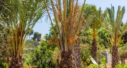 Villa Joan - PlusHolidays