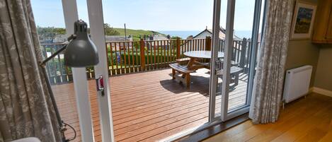 تلفزيون ذكي، مدفأة، مشغل دي في دي، كُتُب