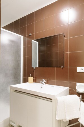 Shower, hair dryer, bidet, towels