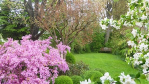 A garden with a bench, various flowering plants, and neatly trimmed bushes. - YOUR HOME AWAY FROM HOME (Treviso)