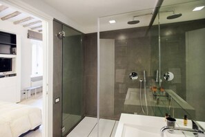 Regadera, secadora de cabello, bidet, toallas 