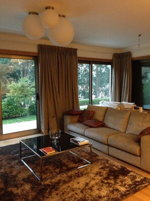 Smart TV, fireplace, video games, stereo