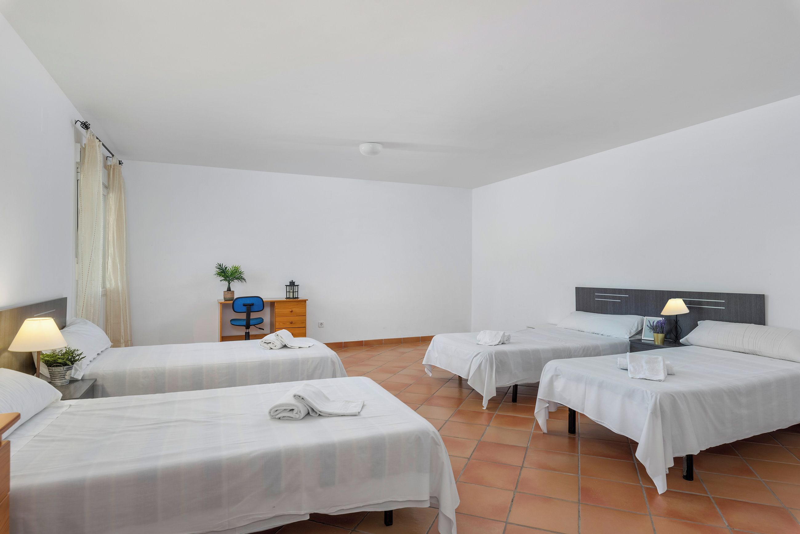 Une chambre d’hôtel avec deux lits simples, un bureau avec une chaise, une petite table avec une lampe et une plante en pot.