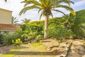 A garden with a palm tree, various shrubs, and a stone pathway. - Villa Carola - PlusHolidays (Calpe)