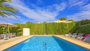 A swimming pool with lounge chairs and a palm tree. - Villa Carola - PlusHolidays (Calpe)