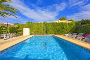 A swimming pool with lounge chairs and a palm tree.