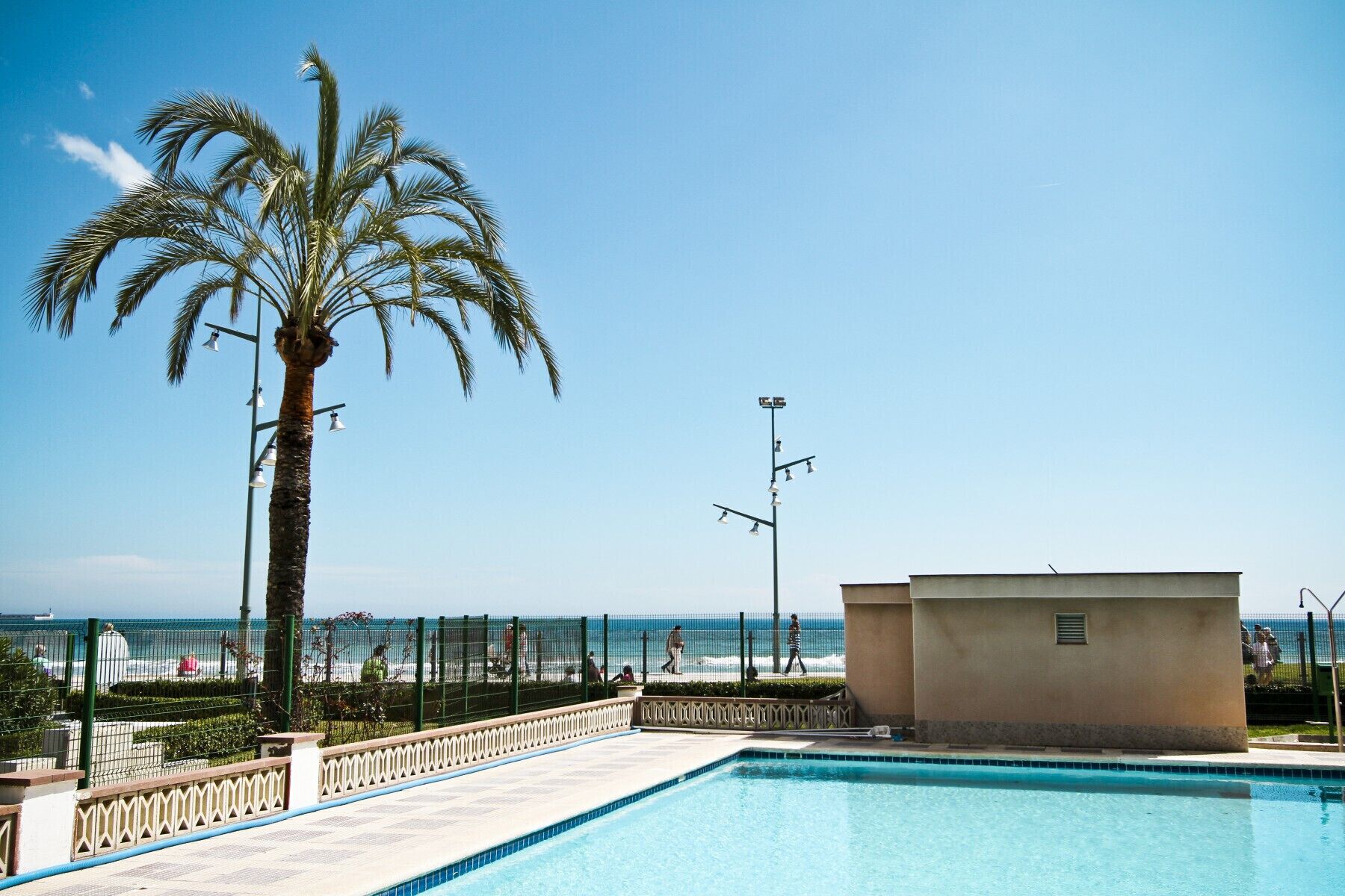A swimming pool with a view of the ocean, a palm tree, and a building with a small window.