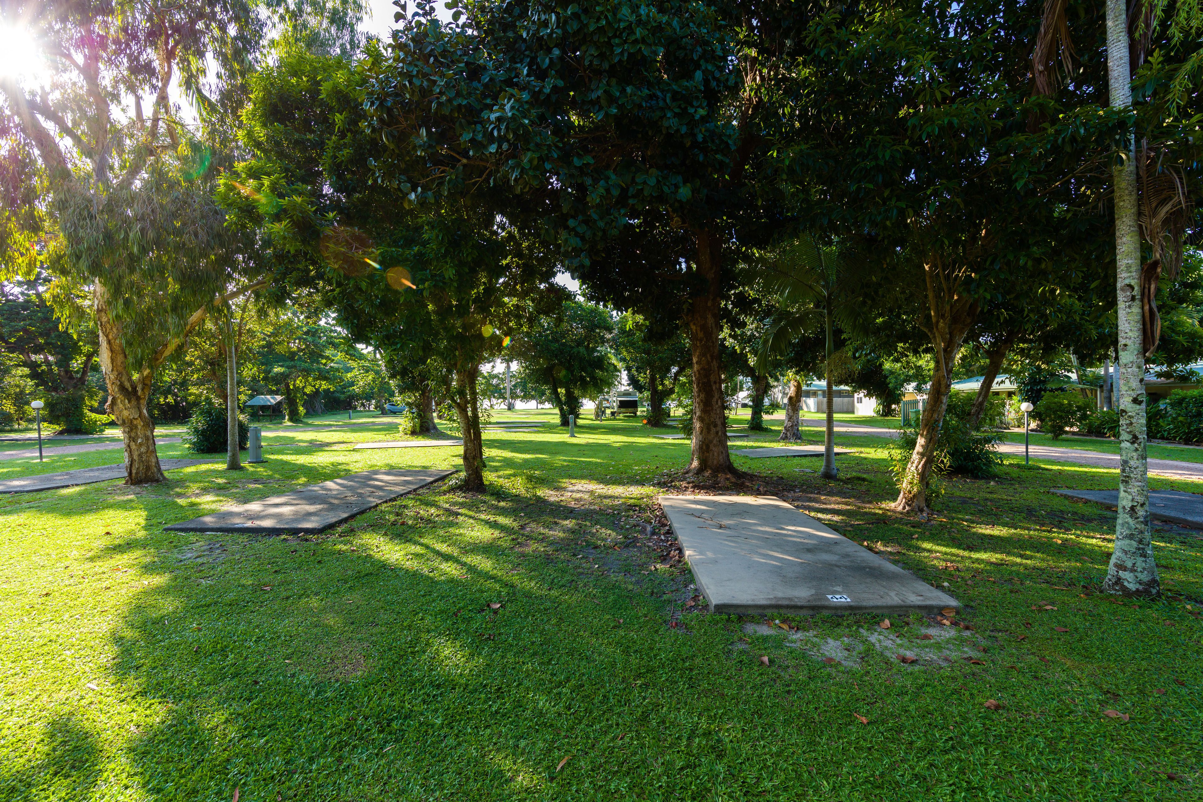 A park with trees, grass, and concrete paths.