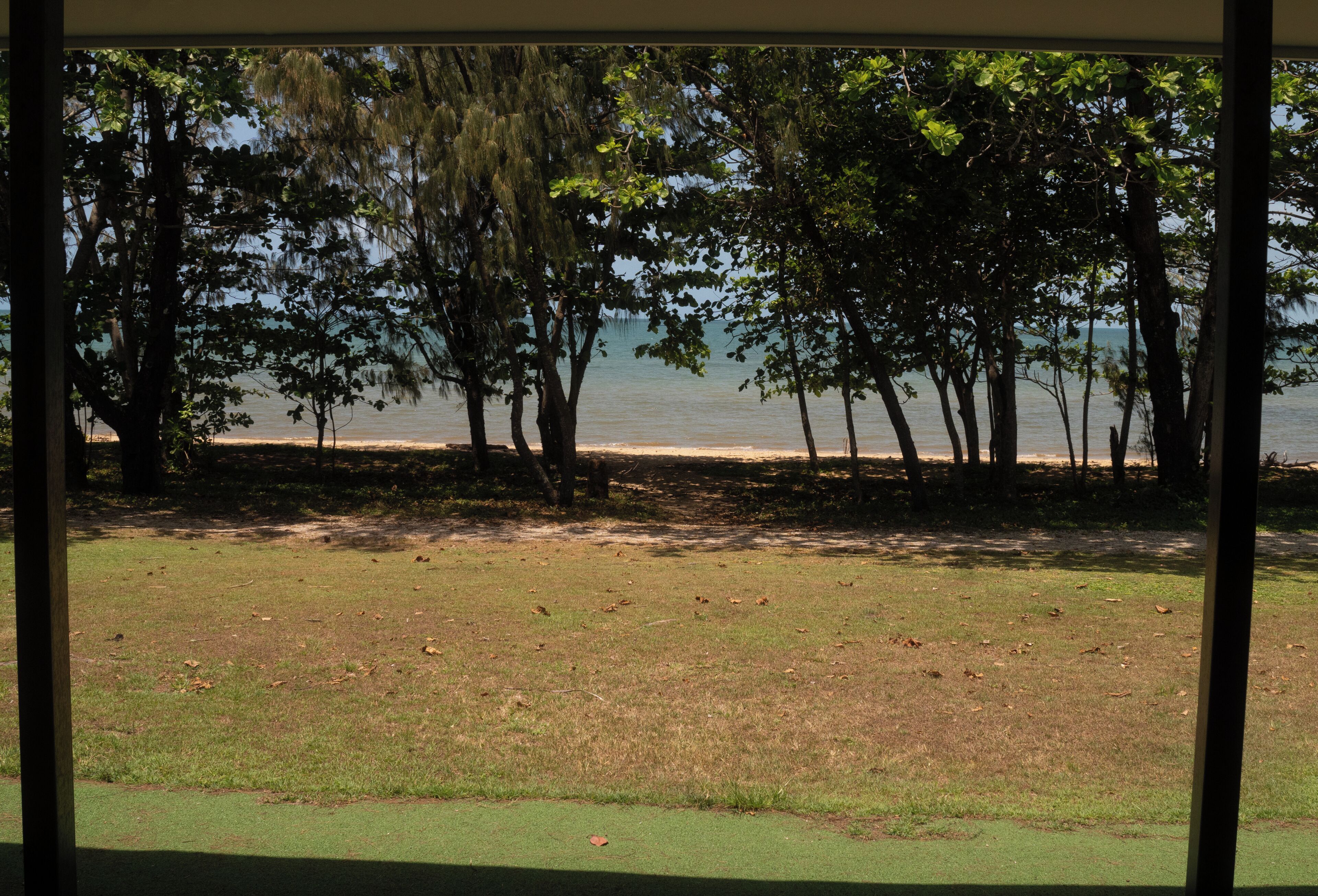 A view of a beach with trees and a sandy shore.