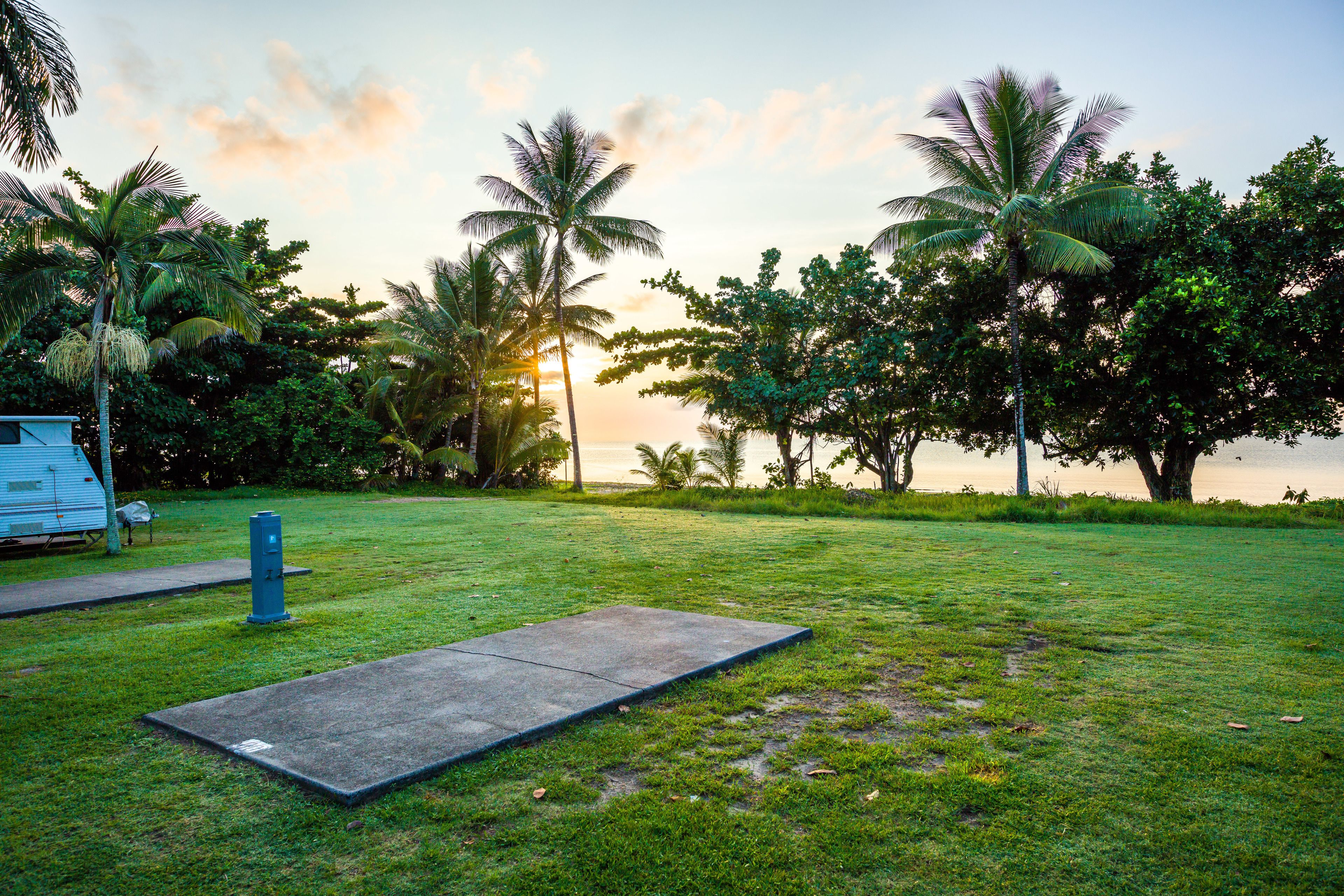A grassy area with palm trees and a clear sky.