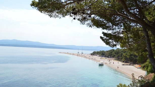 Une plage côtière avec une eau claire, un rivage sablonneux et une rangée d’arbres.