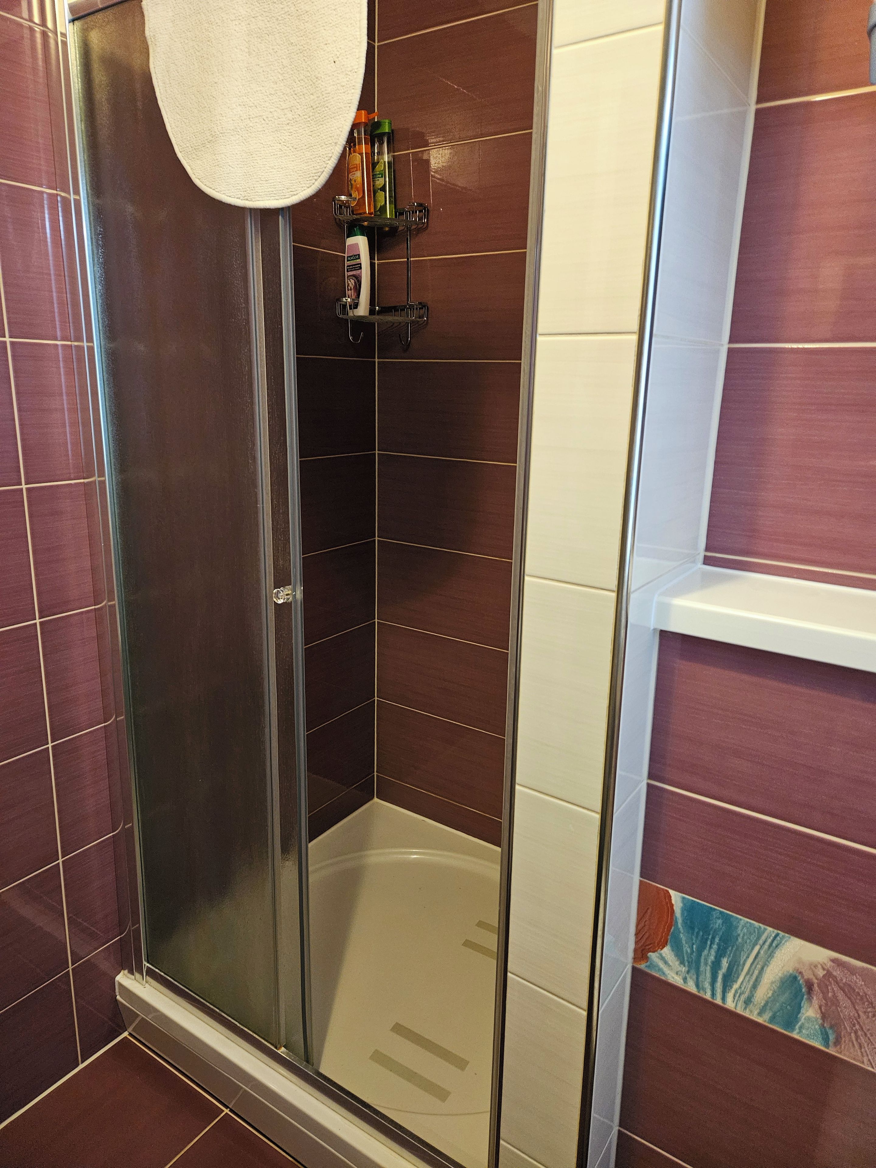 Un box de ducha con paredes de vidrio, una toalla blanca colgada en la puerta, un dispensador de jabón y un portalápices para cepillos de dientes en un estante superior.