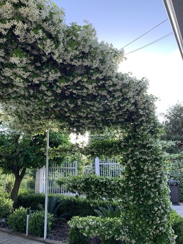 Relaxation in Cottage of Charme