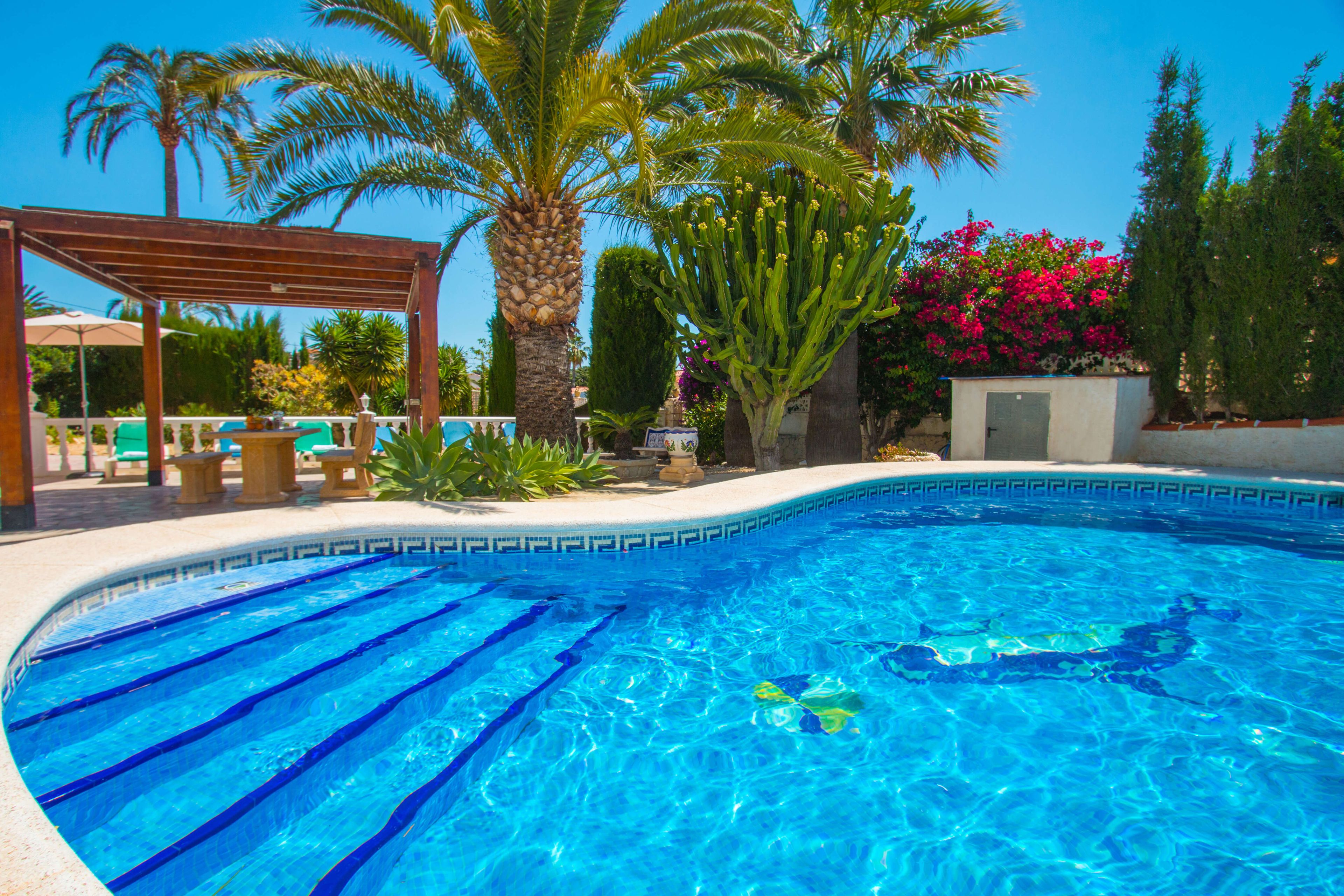 A clear blue swimming pool with a wooden pergola and lounge chairs, surrounded by palm trees and flowering plants.