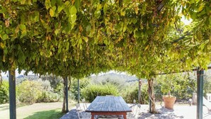 Mesa de madera al aire libre con sillas bajo un arco de hojas, rodeada de césped y vistas a colinas.