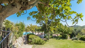 Un camino de piedra que lleva a una zona de piscina rodeada de exuberante follaje y árboles.