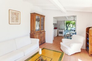 Télévision, cheminée, lecteur de DVD, livres