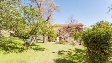 Área da propriedade