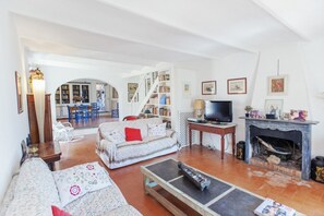 Télévision, cheminée, lecteur de DVD, livres