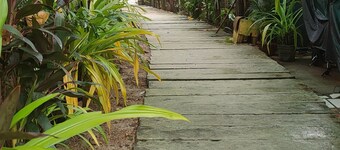 Mam Olson Pensionne House