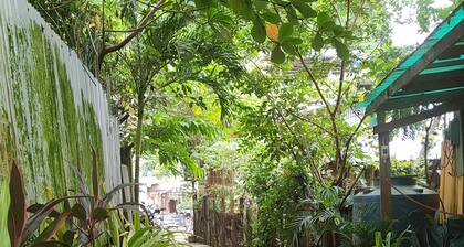 Mam Olson Pensionne House