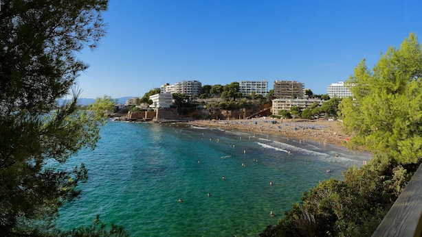 Una spiaggia costiera con acque turchesi cristalline, un lungomare alberato e diversi edifici a più piani sullo sfondo.