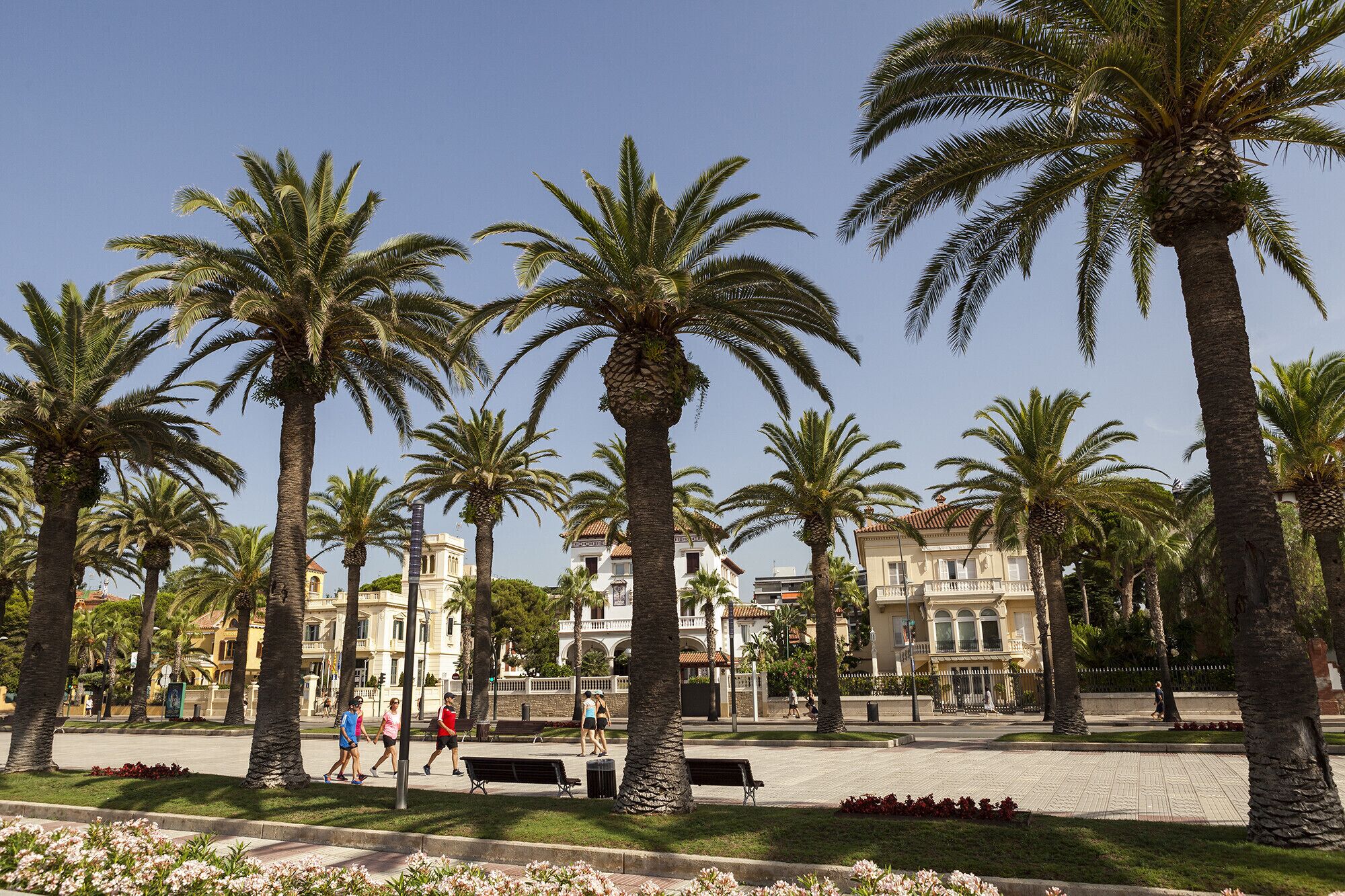 A promenade lined with palm trees and benches, with pedestrians walking and buildings in the background.